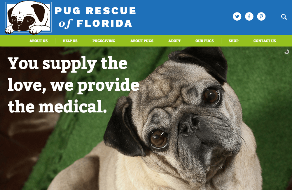 Pug Rescue of Florida